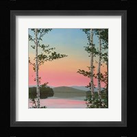 Cooper Sunset Birches Framed Print