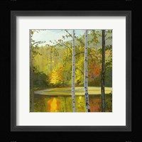 Cooper Lake, Autumn Framed Print