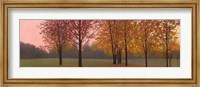 Autumn Dawn, Maples Fine Art Print