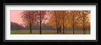 Autumn Dawn, Maples Fine Art Print
