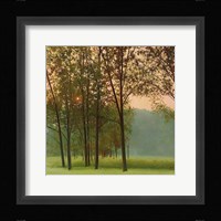 Haze Framed Print