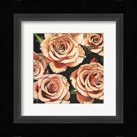 Roses Fine Art Print