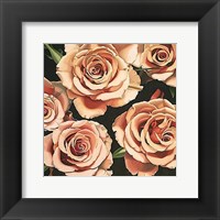Roses Fine Art Print