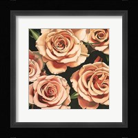 Roses Fine Art Print