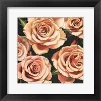 Roses Fine Art Print