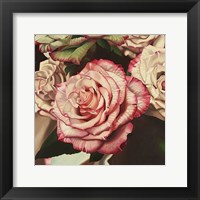 Vintage Rose Fine Art Print