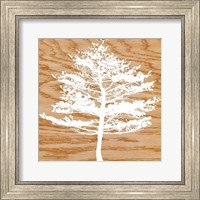 Frosty Tree Fine Art Print