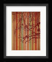 Amber Stripe Fine Art Print