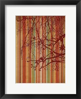 Amber Stripe Fine Art Print