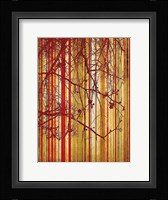 Auburn Stripe Fine Art Print