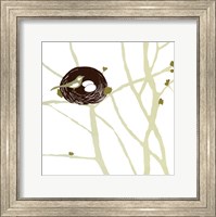 Feathers and Twigs Fine Art Print