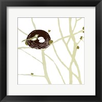 Feathers and Twigs Framed Print