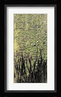 Lily Pond I Framed Print