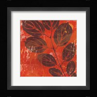 Exotic Vine Framed Print