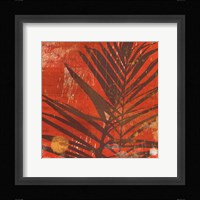 Exotic Palm Framed Print