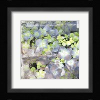 Vintage Blossom Framed Print