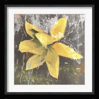 Tulip Fresco (yellow) Framed Print
