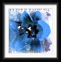 Tulip Fresco (blue) Framed Print