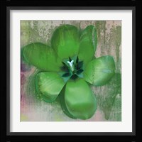 Tulip Fresco (green) Framed Print