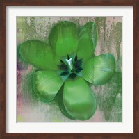 Tulip Fresco (green) Fine Art Print
