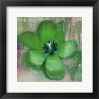 Tulip Fresco (green) Fine Art Print