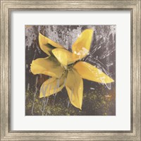 Tulip Fresco (yellow) Fine Art Print