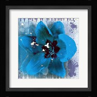 Tulip Fresco (blue) Framed Print