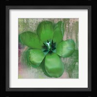 Tulip Fresco (green) Framed Print