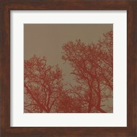 Cinnamon Tree I Fine Art Print