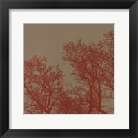 Cinnamon Tree I Fine Art Print