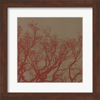 Cinnamon Tree II Fine Art Print