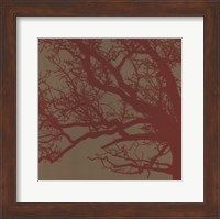 Cinnamon Tree III Fine Art Print