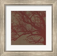 Cinnamon Tree III Fine Art Print