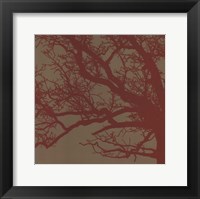 Cinnamon Tree III Fine Art Print