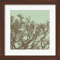 Winter Tree II Fine Art Print