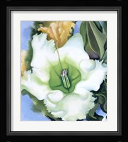 Cup of Silver Ginger, 1939 Fine Art Print