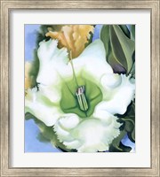 Cup of Silver Ginger, 1939 Fine Art Print