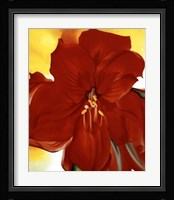 Red Amaryllis, 1937 Fine Art Print