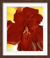 Red Amaryllis, 1937 Fine Art Print