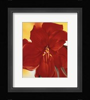 Red Amaryllis, 1937 Fine Art Print