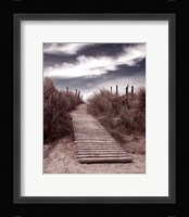 The Pathway Fine Art Print