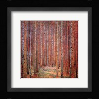 Tannenwald I Framed Print