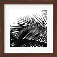 Palms 13 (detail) Fine Art Print