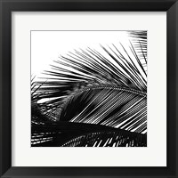 Palms 13 (detail) Fine Art Print