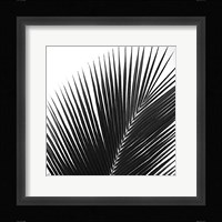 Palms 14 (detail) Fine Art Print