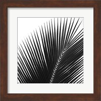 Palms 14 (detail) Fine Art Print