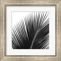 Palms 14 (detail) Fine Art Print