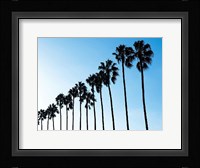 La Jolla Palms Fine Art Print
