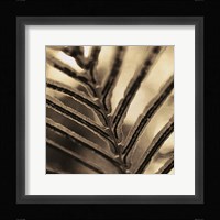 Abstraction Fine Art Print