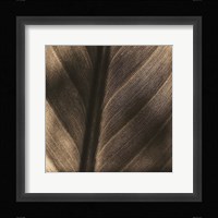 Details Fine Art Print